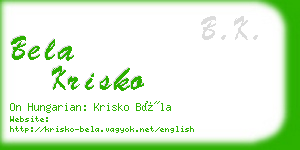 bela krisko business card